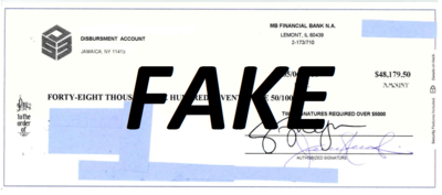 FAKE CHECK.PNG